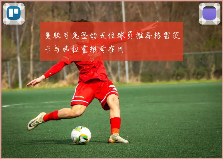 曼联可免签的五位球员推荐格雷茨卡与弗拉霍维奇在内